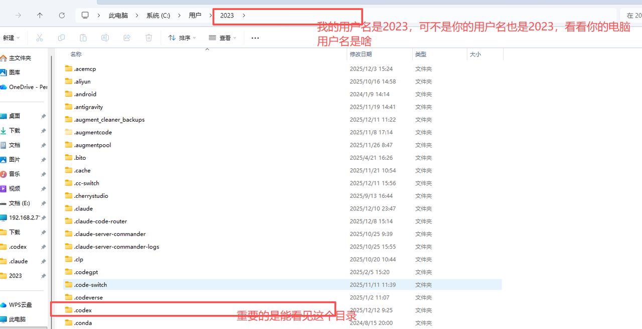 Windows 用户目录中的 .codex 文件夹