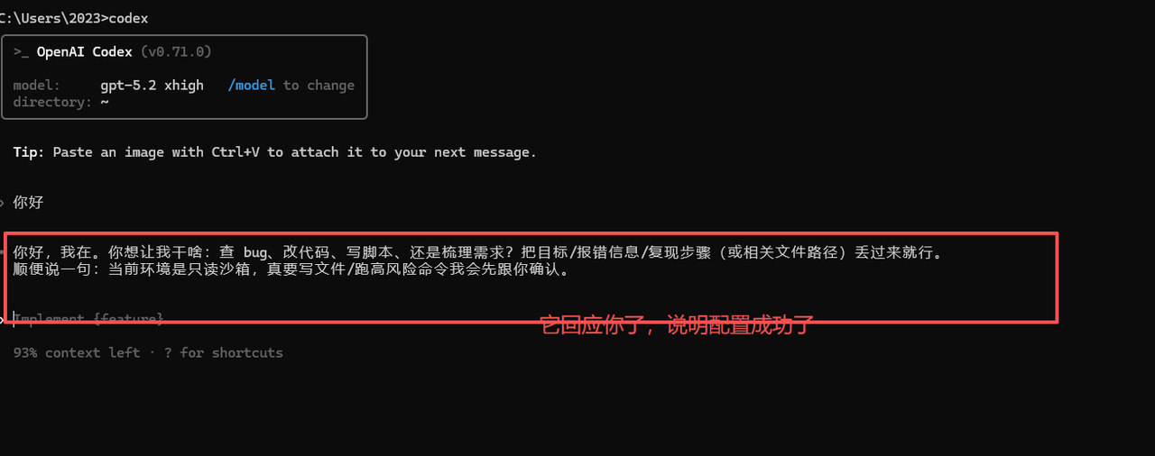 Codex 启动并成功响应
